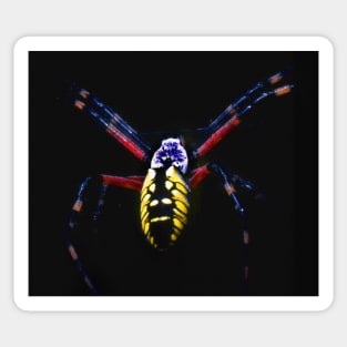 garden spider Sticker